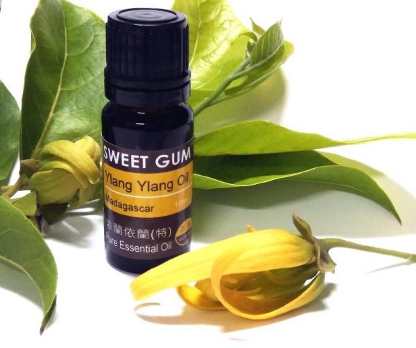 特級依蘭依蘭  10ml  產地馬達加斯加 又名香水樹 Ylang Ylang